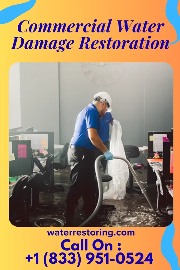 Commercial Water Damage Restoration in Downieville-Lawson-Dumont, CO